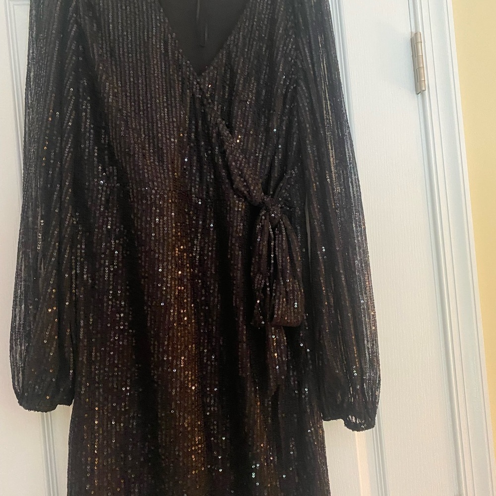 New Year’s Eve ,Vine & Love Glittering Black Long Sleeve Dress, holiday dress